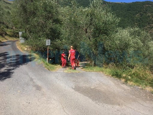 Chiusanico: danno fuoco ad alcune sterpaglie in campagna, l'incendio investe una 73enne che muore ustionata (Foto e Video)