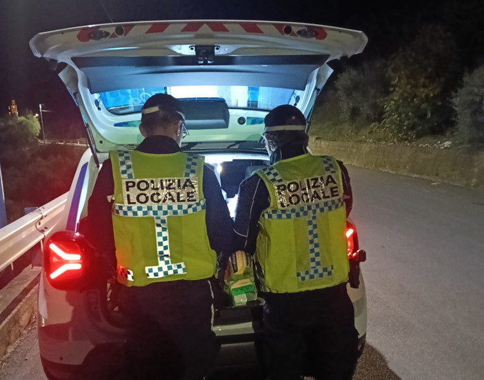 Multe online a Diano Marina, la polizia locale aderisce alla piattaforma SEND Multe online a Diano Marina, la polizia locale aderisce alla piattaforma SEND