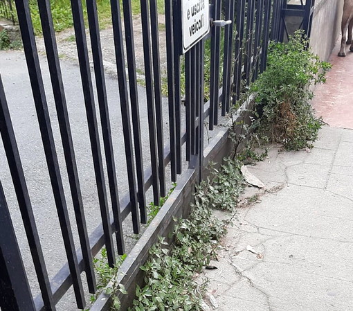 Sopralluogo di 'Imperia Rinasce' alle Ferriere "Troppa trascuratezza, serve più manutenzione" Sopralluogo di 'Imperia Rinasce' alle Ferriere "Troppa trascuratezza, serve più manutenzione"