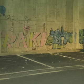 Il consigliere comunale Enrica Chiarini