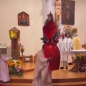 Vallecrosia, il prete vola dall’altare con l’uovo di Pasqua: il video spopola sui social e vince il 'premio frittata' di Striscia La Notizia (Foto e video)
