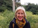 Imperia, Daniela Bozzano (Pd) presenta un'interrogazione sugli alberi abbattuti in corso Allende