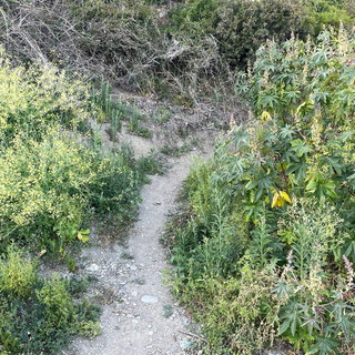 Imperia: degrado e criticità in zona Collarina, Imperia Rinasce "Il mare erode la pista ciclabile " (Foto)