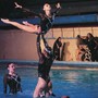 Imperia, alla Cascione arriva “Eumenidi in piscina”: teatro e nuoto artistico in uno spettacolo unico