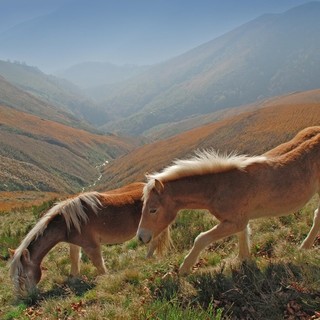 English Conversation Trekking: sabato a Imperia con la guida Marina Caramellino e l’insegnante Anna Concaro