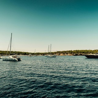 Naviga verso l'avventura con le Escursioni Asinara