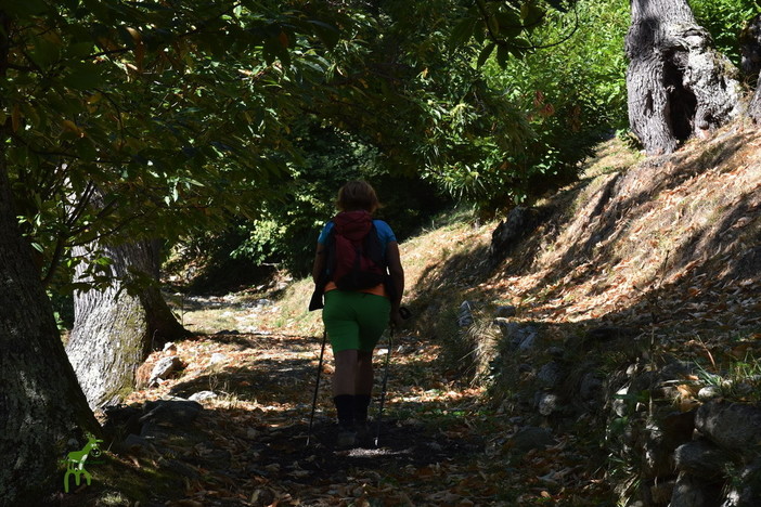 L’associazione Monesi Young riparte alla grande con le escursioni alla scoperta delle vicine Alpi e dell’entroterra L’associazione Monesi Young riparte alla grande con le escursioni alla scoperta delle vicine Alpi e dell’entroterra