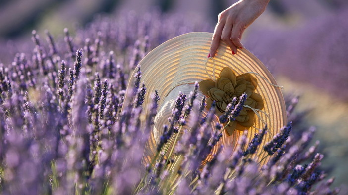 Festa delle Erbe e della Lavanda a Cosio d'Arroscia