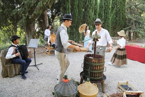 Festa della Vendemmia ai Giardini Hanbury