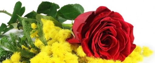 Mercoledì 8 marzo all'Osteria del Tempo Stretto di Albenga una cena speciale per la Festa della Donna