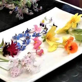 I “fiori nel piatto” del progetto Antea protagonisti anche su France 2 I “fiori nel piatto” del progetto Antea protagonisti anche su France 2