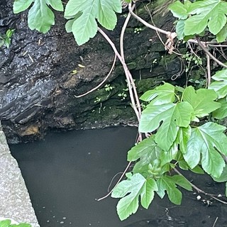 Fogna nel torrente a Montegrazie, sopralluogo di Imperia Rinasce: “Rivieracqua ha garantito un intervento”
