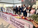 Pontedassio, all'Expo Valle Impero una tappa del campionato nazionale di salse al mortaio Pontedassio, all'Expo Valle Impero una tappa del campionato nazionale di salse al mortaio