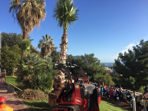 Imperia: piantumati tre nuovi alberi con i bambini delle scuole cittadine, Gandolfo "Sono il veicolo più sano per il tema ambientale" (Foto e video) Imperia: piantumati tre nuovi alberi con i bambini delle scuole cittadine, Gandolfo "Sono il veicolo più sano per il tema ambientale" (Foto e video)