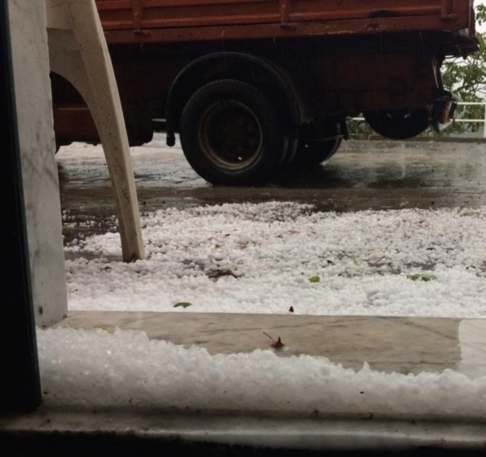 Furia del maltempo di ieri: danni fino al 40% alle colture olivicole nelle valli tra Savona e Imperia