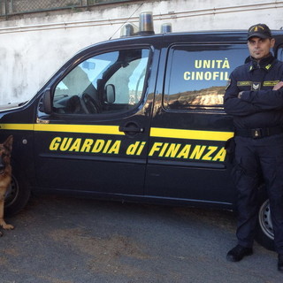 Ventimiglia: 46enne romeno fermato al confine con oltre 140 grammi di marijuana Ventimiglia: 46enne romeno fermato al confine con oltre 140 grammi di marijuana