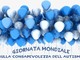 ‘Lo spettro autistico e (quasi) tutti i suoi colori’, corso online di Angsa Imperia aps ‘Lo spettro autistico e (quasi) tutti i suoi colori’, corso online di Angsa Imperia aps