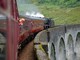 Stasera speciale sul trenino di Casella-Hogwarts Express in onda su Italia 1. La soddisfazione dell'assessore Berrino Stasera speciale sul trenino di Casella-Hogwarts Express in onda su Italia 1. La soddisfazione dell'assessore Berrino