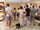 Weekend tra padiglioni e lezioni di tango alla Grande Fiera d'Estate di Savigliano