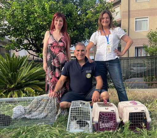 Diano Marina: Accademia Kronos e 'Uniti per le Code' salvano quattro gattini incastrati in un'auto (Foto)