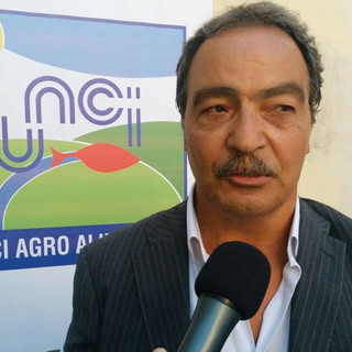 Unci AgroAlimentare: Scognamiglio &quot;Via libera a indirizzo governo su pesca ed economia marina&quot;