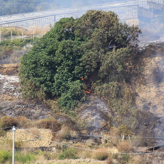 Pontedassio: incendio di sterpaglie vicino ad alcune piantagioni, intervento dei Vigili del Fuoco