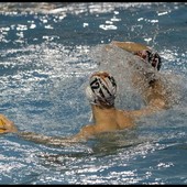 Pallanuoto maschile Serie B, la R.N. Olio Raineri riparte da Livorno Pallanuoto maschile Serie B, la R.N. Olio Raineri riparte da Livorno