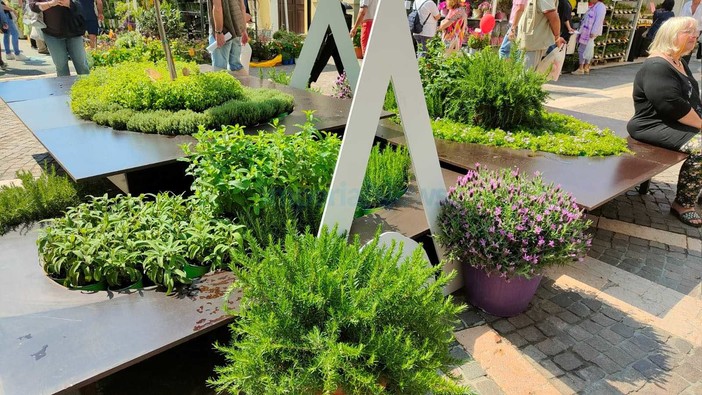 'Aromatica 2023' a Diano Marina