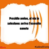 LA GRAFFIATA. Presidio Amico, al via la selezione: arriva l'esercito canuto LA GRAFFIATA. Presidio Amico, al via la selezione: arriva l'esercito canuto