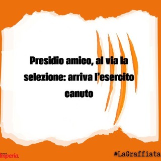 LA GRAFFIATA. Presidio Amico, al via la selezione: arriva l'esercito canuto LA GRAFFIATA. Presidio Amico, al via la selezione: arriva l'esercito canuto