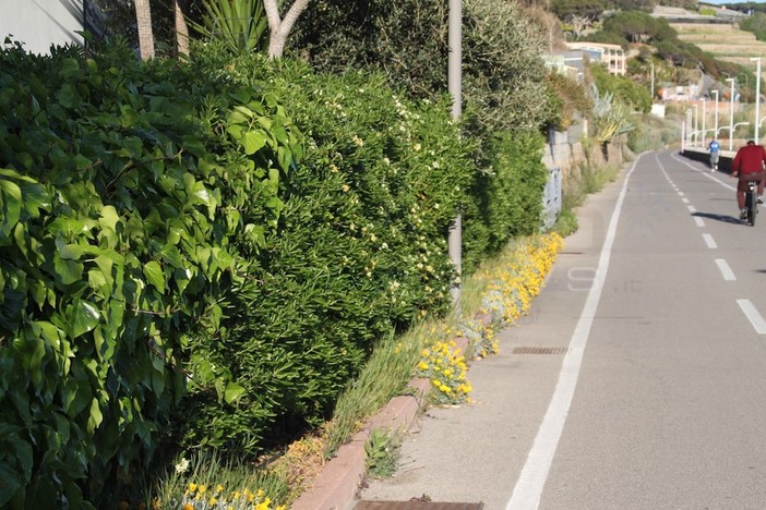 Pista ciclabile: Regione e Comune di Sanremo concordano sulla liquidazione della società e la costituzione di un nuovo soggetto Pista ciclabile: Regione e Comune di Sanremo concordano sulla liquidazione della società e la costituzione di un nuovo soggetto