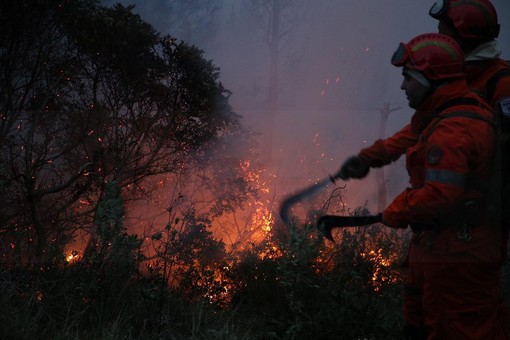 Incendio questa notte sul Capo Berta: impegnate le squadre dei Vigili del Fuoco e dei Volontari (Video)