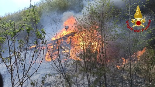 Borghetto D'Arroscia: incendio boschivo in zona Colle Domenica, Vigili del Fuoco e volontari in azione (Foto)