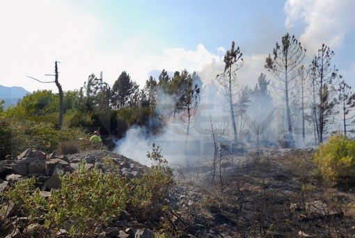 Imperia: incendio di sterpaglie e bosco in regione Panegai, Vigili del Fuoco in azione dalle 11