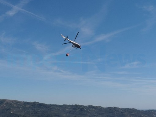 Aurigo: incendio distrugge due ettari di bosco in località Guardiabella, intervento dei Vigili del Fuoco
