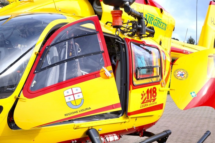 Vallecrosia: bimbo di due anni azzannato al volto da un pitbull, operato al 'Gaslini' Vallecrosia: bimbo di due anni azzannato al volto da un pitbull, operato al 'Gaslini'