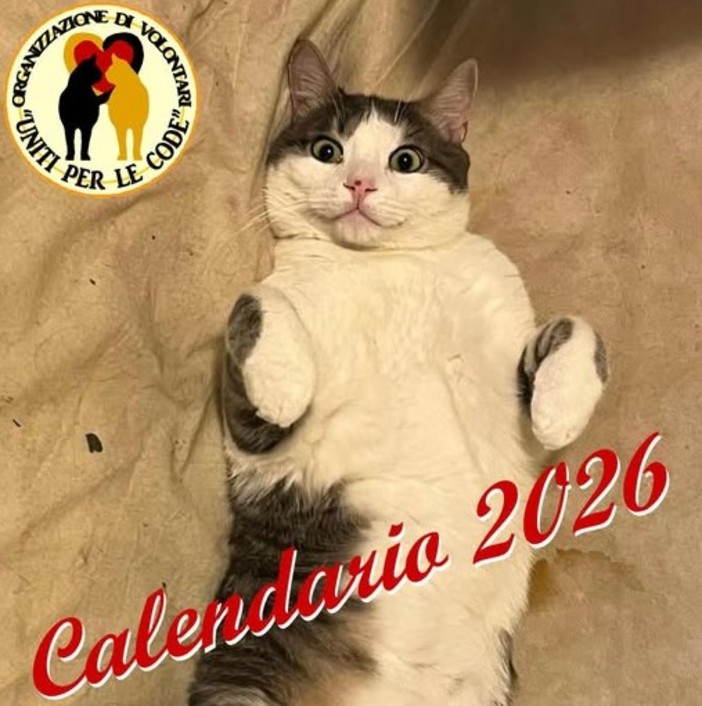 Al via la fase di preparazione dell'attesissimo 'Calendario 2026' dell’associazione di volontariato 'Uniti per le code'