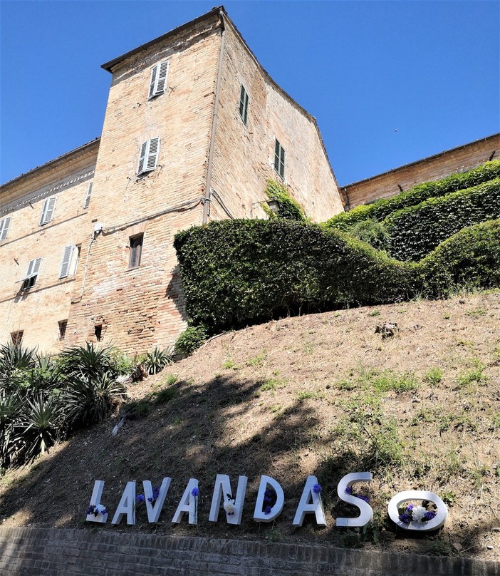 Monte Vidon Combatte in provincia di Fermo ospita la IX edizione del Lavandaso Monte Vidon Combatte in provincia di Fermo ospita la IX edizione del Lavandaso