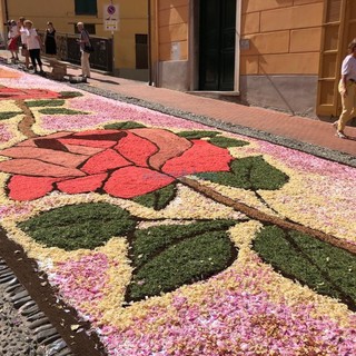 Infiorata di Via Carducci a Imperia