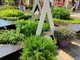 'Aromatica 2023' a Diano Marina