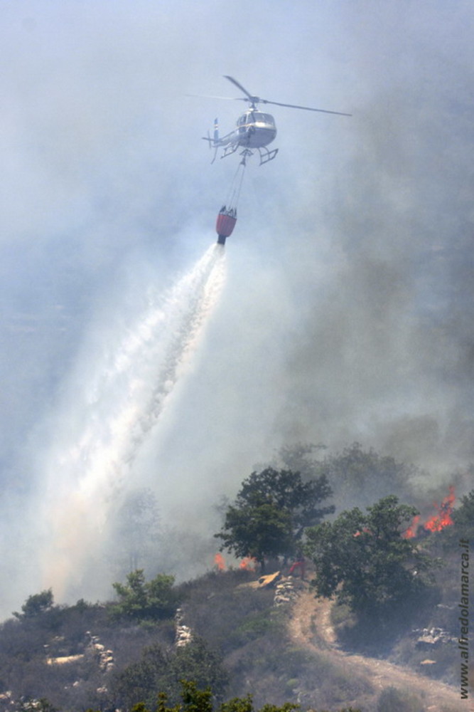 Imperia: canneto in fiamme nella zona attorno a Vasia, Vigili del Fuoco ed un elicottero in azione Imperia: canneto in fiamme nella zona attorno a Vasia, Vigili del Fuoco ed un elicottero in azione