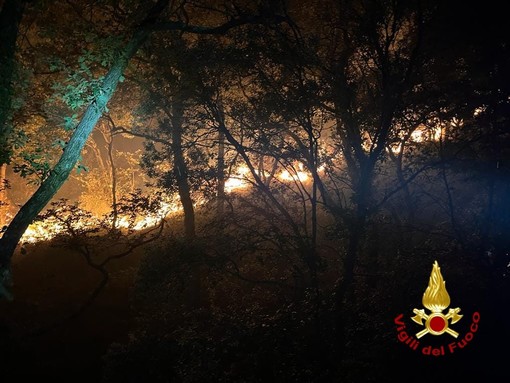 Incendio nei boschi di Verezzo, fiamme in zona impervia (foto)