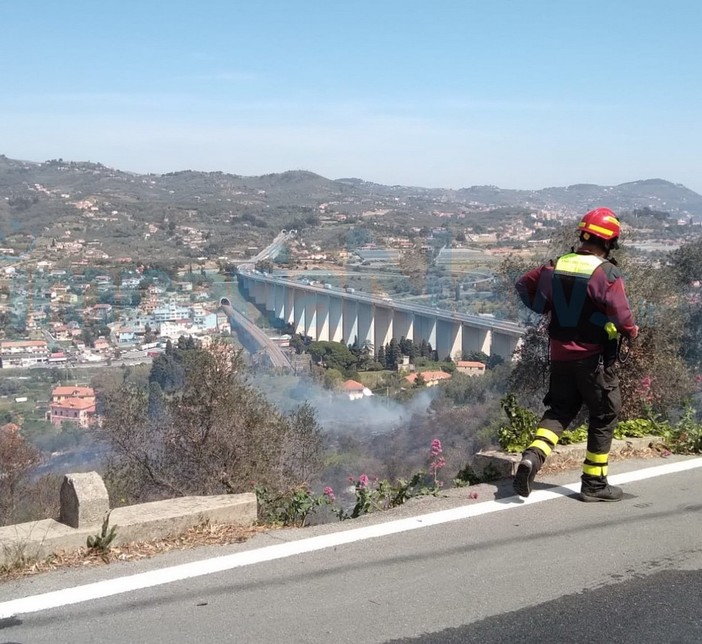Imperia: incendio di sterpaglie sulla strada per Poggi, intervento dei Vigili del Fuoco (Foto)