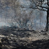 Incendio boschivo vicino alle case tra Cipressa e Lingueglietta: una abitazione salvata dai soccorritori