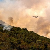 Le immagini delle operazioni di spegnimento (foto Stefano Michero)