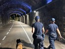 Controlli nei locali Imperia: denunce per guida in stato di ebbrezza Controlli nei locali Imperia: denunce per guida in stato di ebbrezza