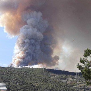 Settore forestale, vice presidente Piana: "Bandi per oltre 14 milioni di euro per la prevenzione dei danni da incendi e altre calamità" Settore forestale, vice presidente Piana: "Bandi per oltre 14 milioni di euro per la prevenzione dei danni da incendi e altre calamità"