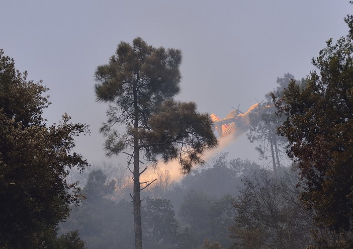 Misure di prevenzione e di contrasto al fenomeno degli incendi boschivi: oggi riunione in Prefettura Misure di prevenzione e di contrasto al fenomeno degli incendi boschivi: oggi riunione in Prefettura
