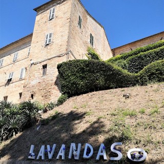 Monte Vidon Combatte in provincia di Fermo ospita la IX edizione del Lavandaso