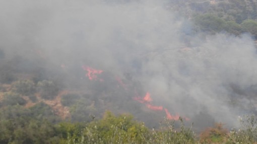 Imperia: devastante incendio sulla collina di Costa d'Oneglia, intervento di Vigili del Fuoco ed elicotteri (Foto e video)